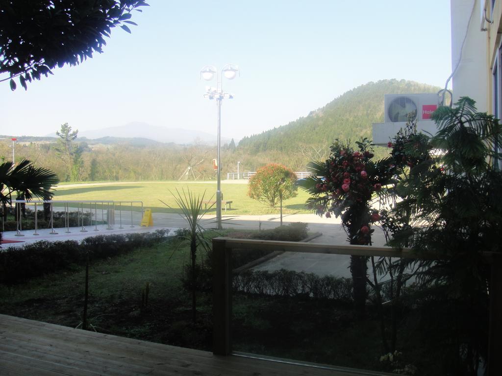 Geomunoreum Hostel Jeju Ngoại thất bức ảnh