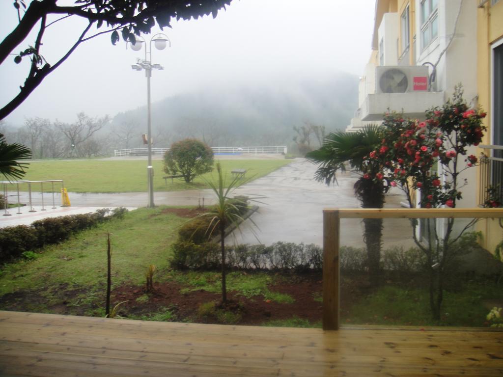 Geomunoreum Hostel Jeju Ngoại thất bức ảnh