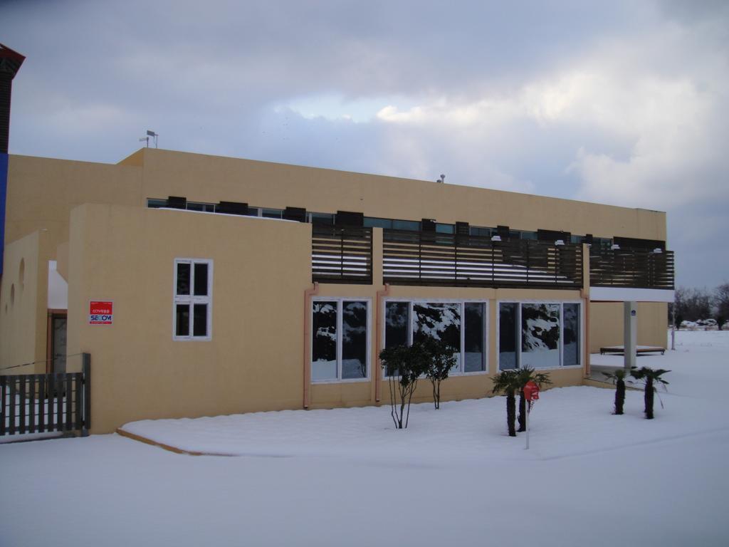 Geomunoreum Hostel Jeju Ngoại thất bức ảnh