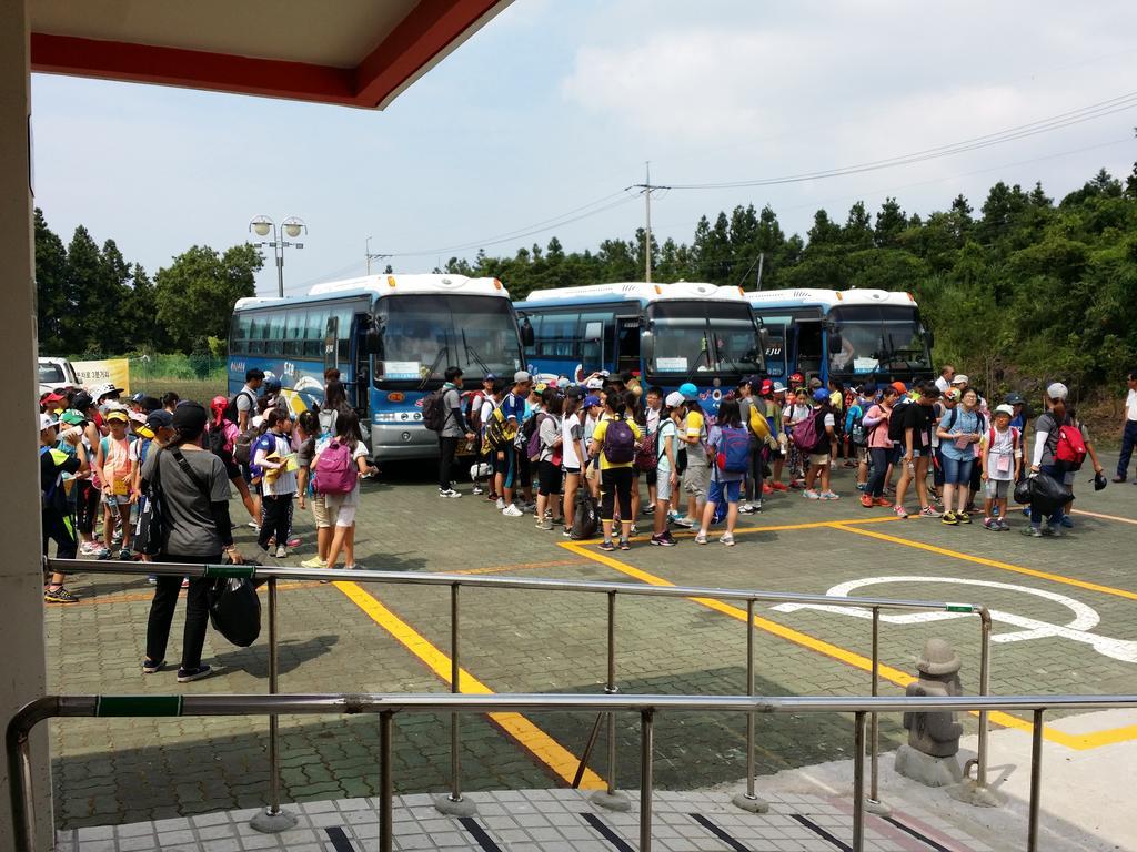Geomunoreum Hostel Jeju Ngoại thất bức ảnh