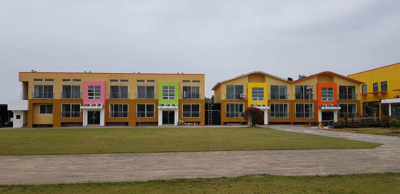 Geomunoreum Hostel Jeju Ngoại thất bức ảnh